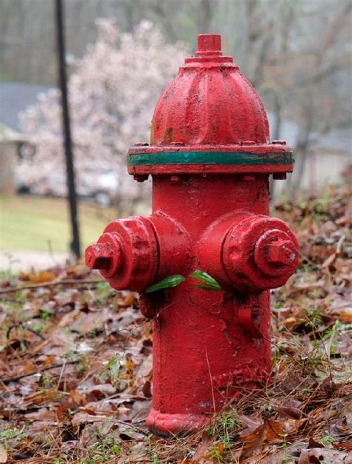 What does a black fire hydrant mean?
