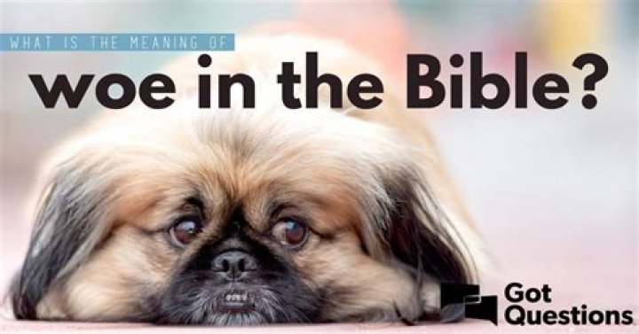 What does dog mean in the Bible?