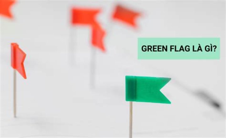 What does green flag mean?
