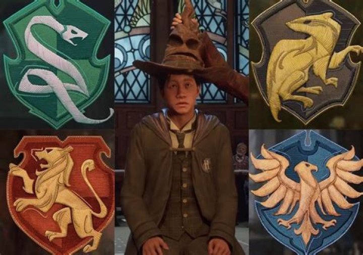 What Hogwarts House is Chris Evans in?