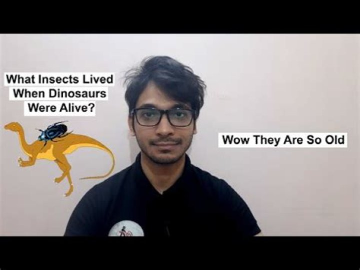 What insects lived when dinosaurs were alive?