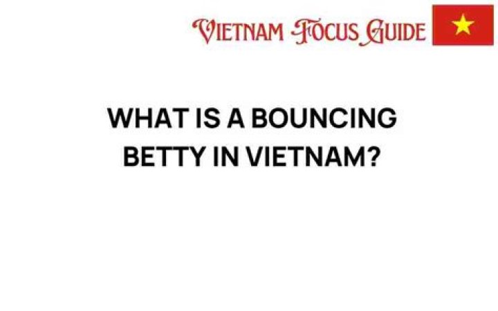 What is a Bouncing Betty in Vietnam?