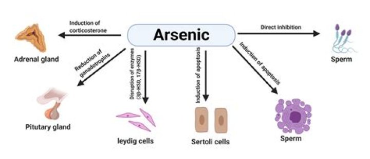 What is arsenic most known for?