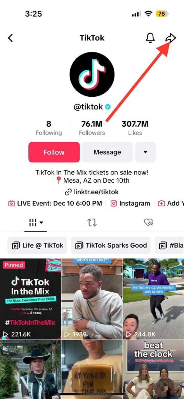 What is clone of TikTok?
