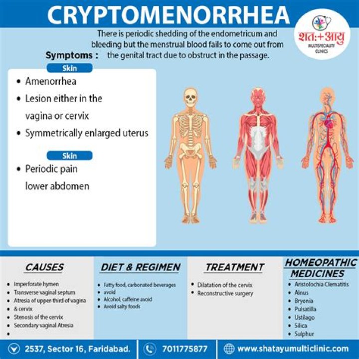 What is Cryptomenorrhea?