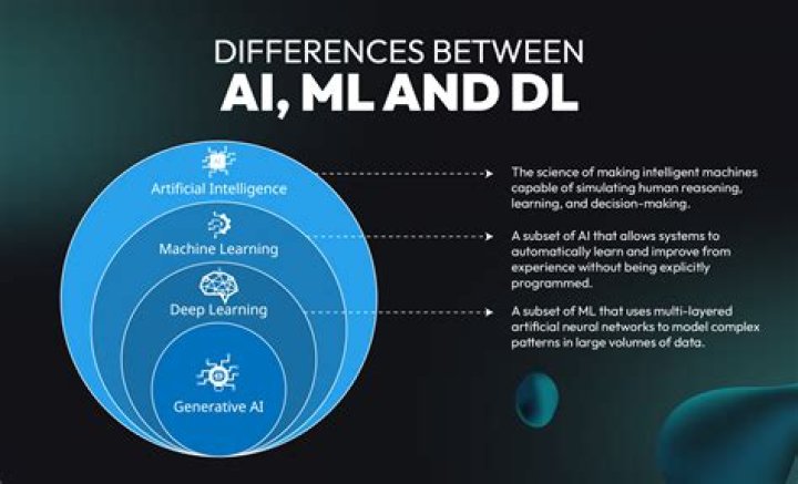 What is DL coach?