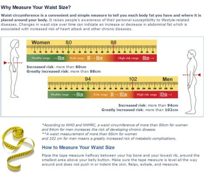 What is ideal waist size for my height?