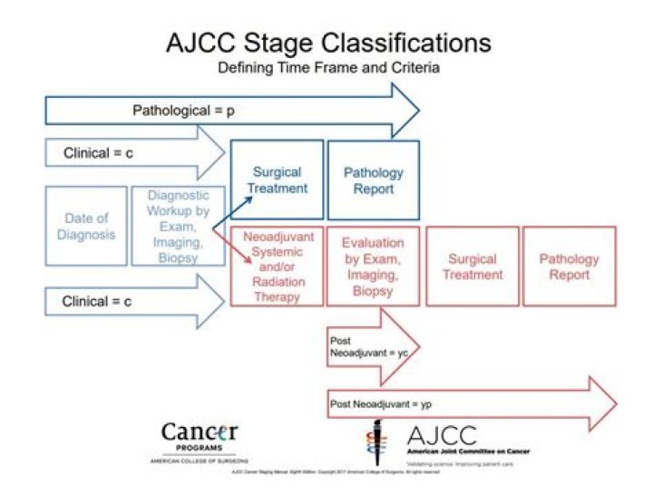 What is pathologic stage pT2?
