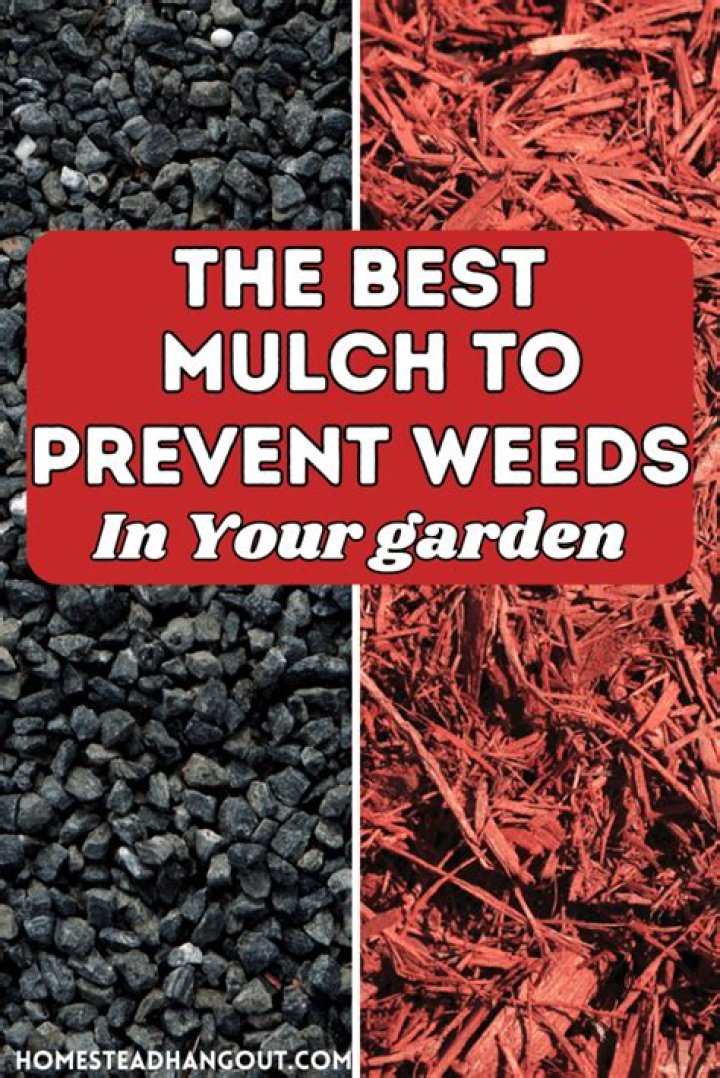 What is the best mulch to prevent weeds?
