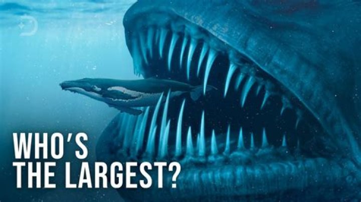 What is the biggest meal ever eaten?