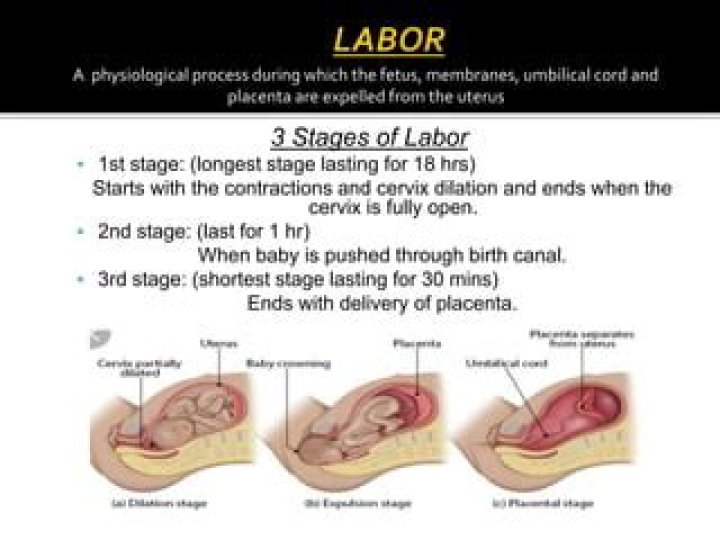 What is the longest stage of labor?
