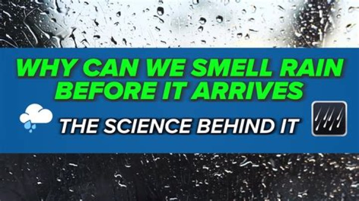 What is the smell before a storm?