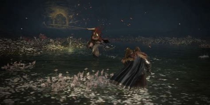 What level should I be to fight Malenia Elden Ring?