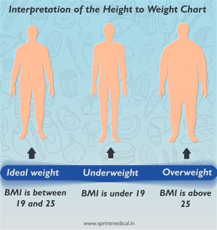 What part of your body weighs the most?