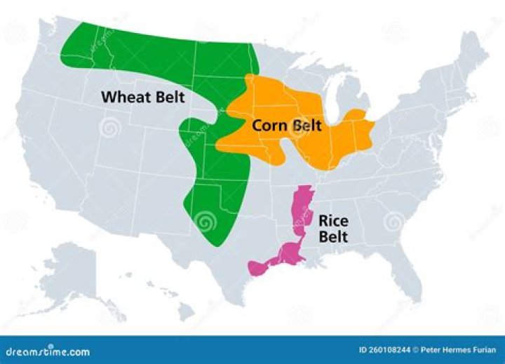Where in the US is there no accent?