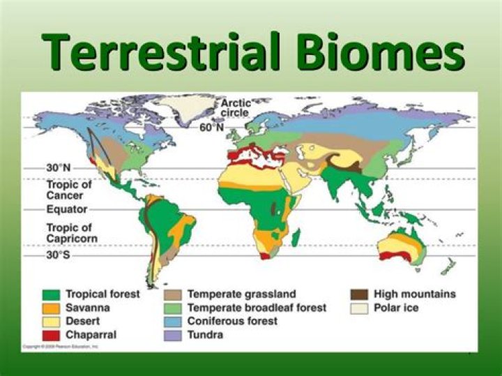 Which biome is the largest?