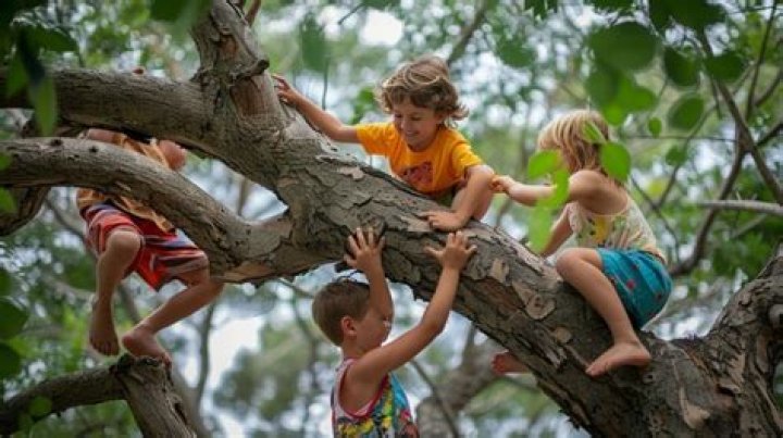 Why are ants climbing my tree?