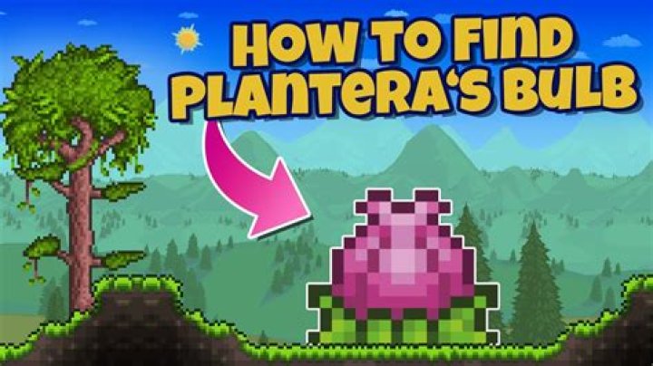 Why are there no Plantera bulbs in my world?