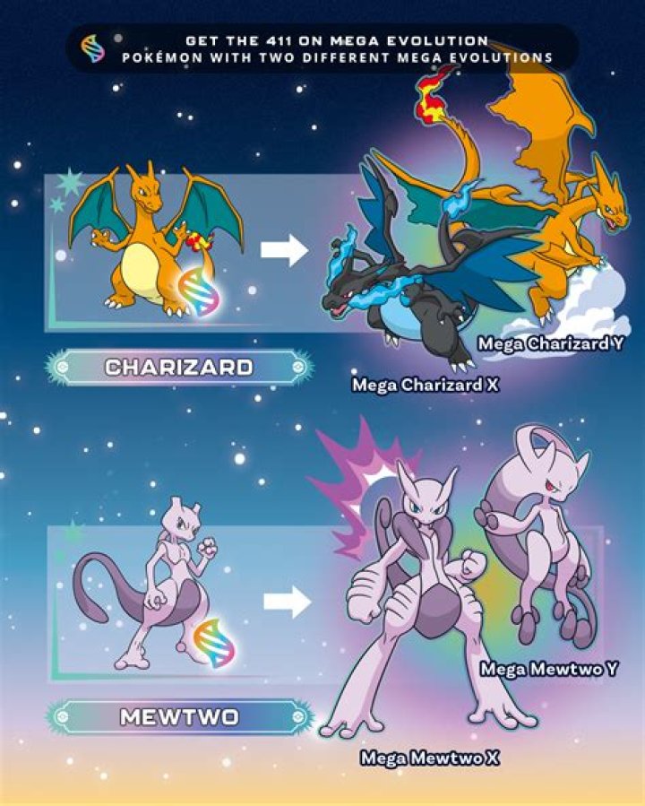 Why did Charizard not like Ash?