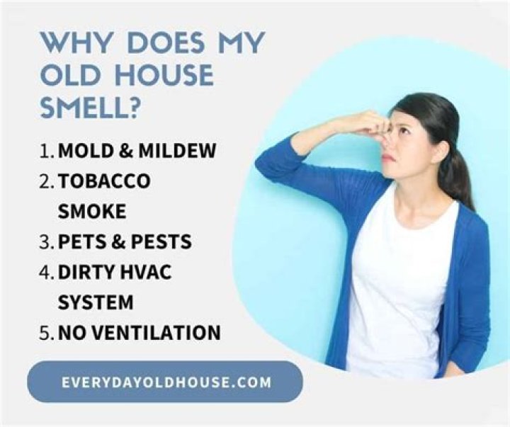 Why do old houses smell funny?