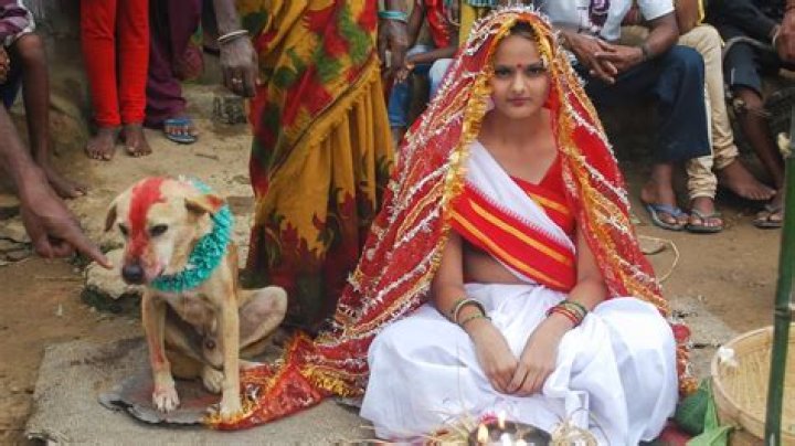 Why do people marry dogs in India?