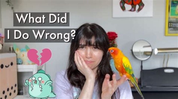 Why does my bird close his eyes when I talk to him?