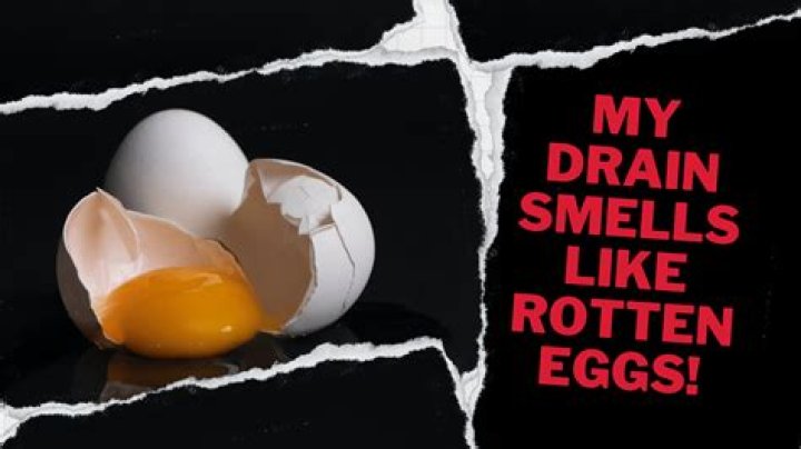 Why does my house smell like rotten eggs after a shower?