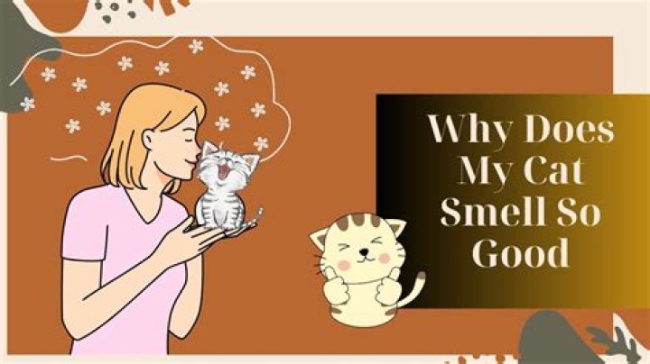 Why does my wife smell so good?