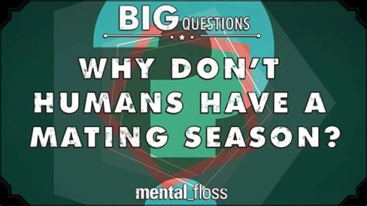 Why dont humans have a mating season?